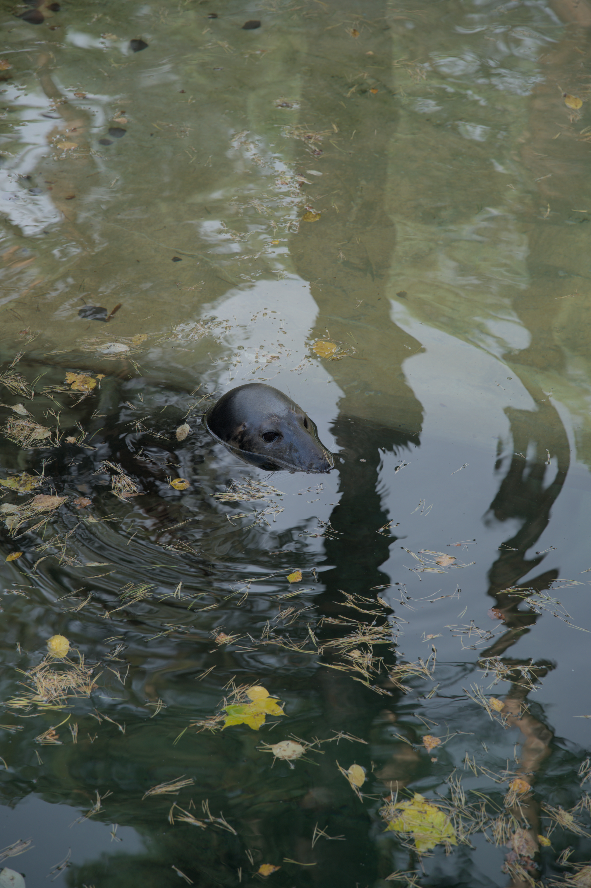 2025/10/12 - zoo/DSC_0002.jpg